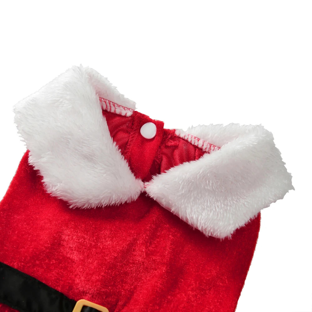 Kerst verkleedkostuum voor kleine tot middelgrote honden en katten